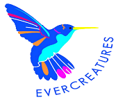 Evercreatures Coupon Codes